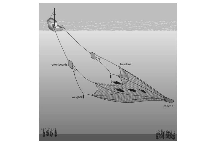 Dyneema Midwater Trawl